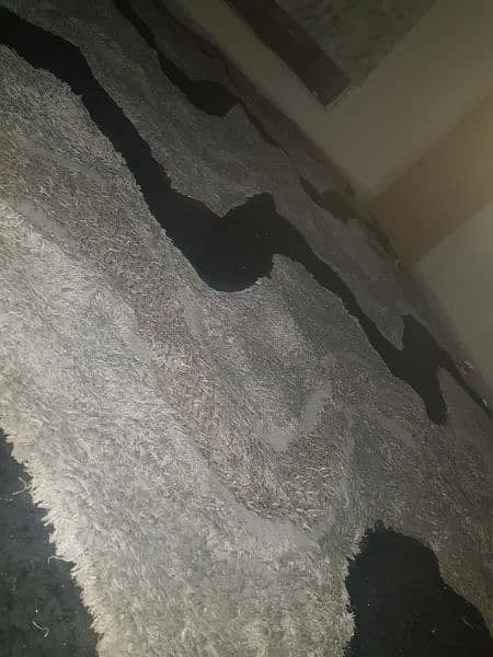 Carpet ( 10/10 Condition ) 4