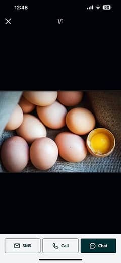 desi eggs anda for sale