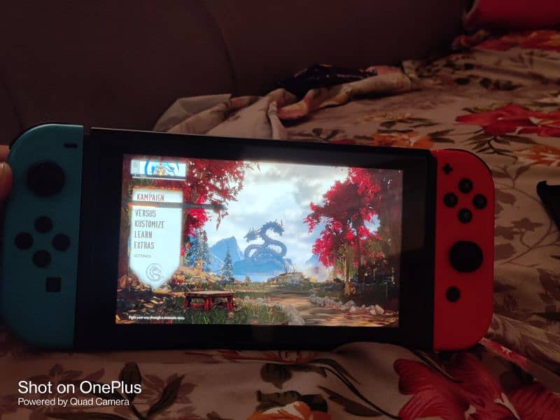 Nintendo switch jailbreak 128gb 11