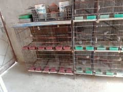 Cage for sale 0