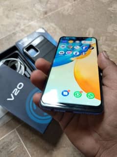 Vivo