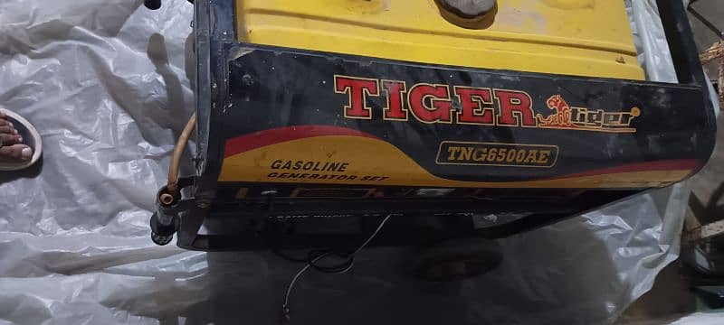 Tiger genetir good condition 5 kv 1