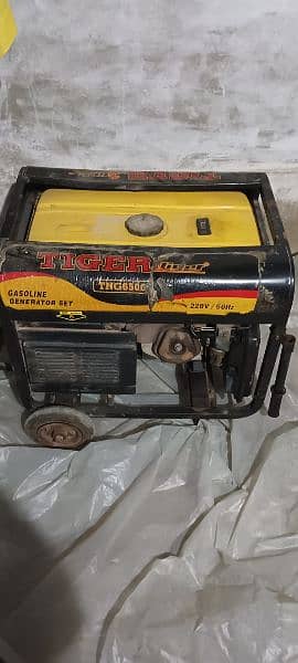 Tiger genetir good condition 5 kv 4