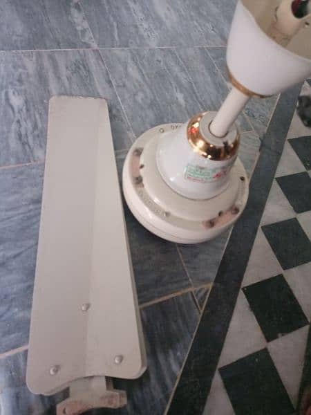 ceiling fan for sell 8