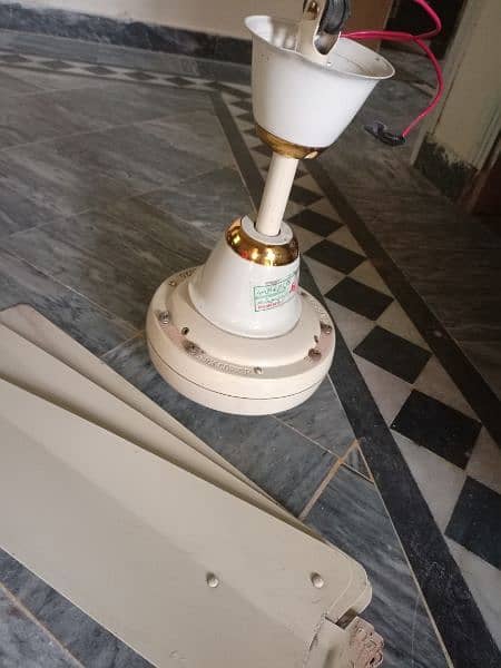 ceiling fan for sell 11