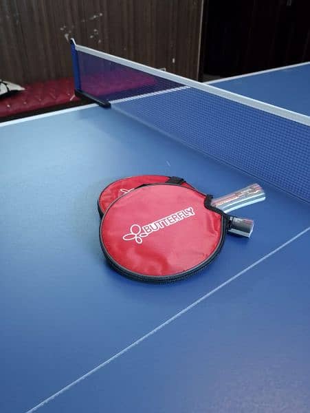 Table tennis table 11