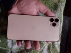 iPhone 11promax golden color  10by10 non pta but sim chalay gi