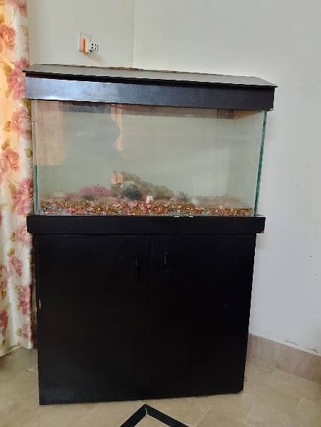 fish aquarium 4