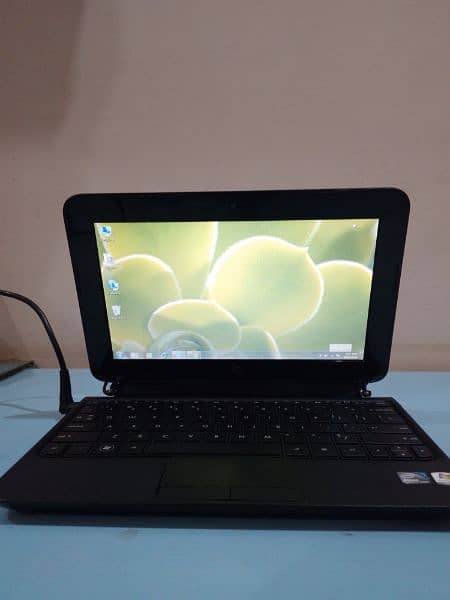 hp mini laptop 7