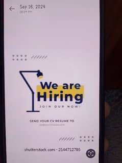 Hiring Male & Female Staff 0