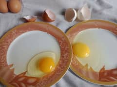 Organic Eggs (Dasi Anday)