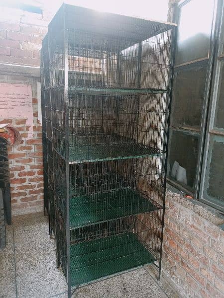 3 cages available 1