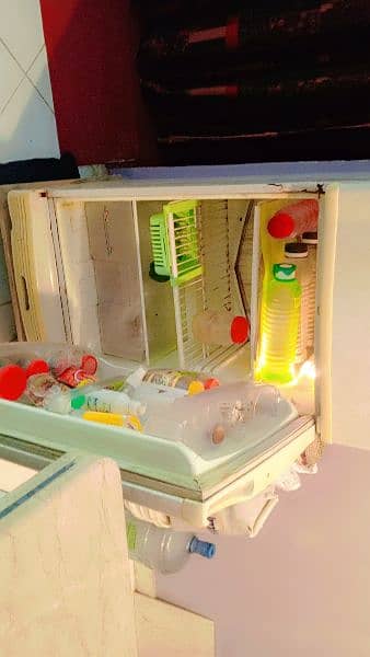 PEL FRIDGE (Running Condition) 1