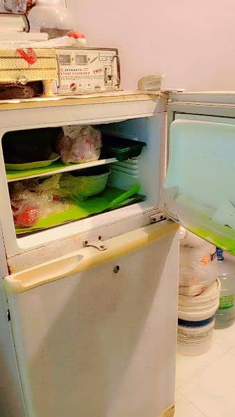 PEL FRIDGE (Running Condition) 4