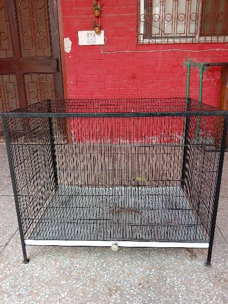 Birds iron cage available for sale 1