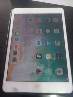 Apple Ipad mini2