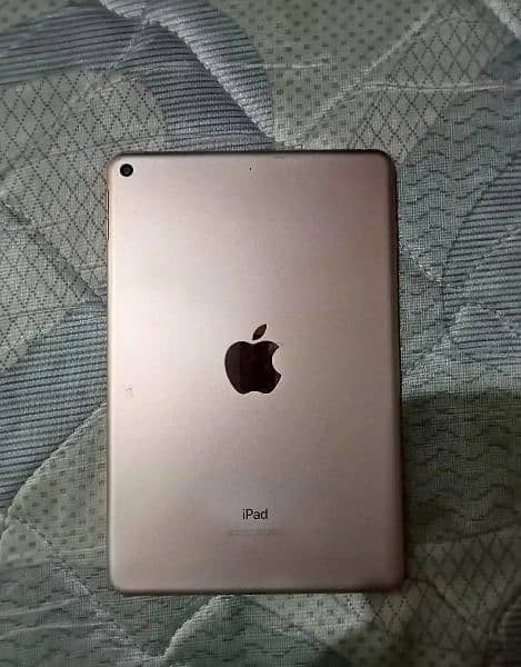 Ipad mini 5 64 gb back side change 0