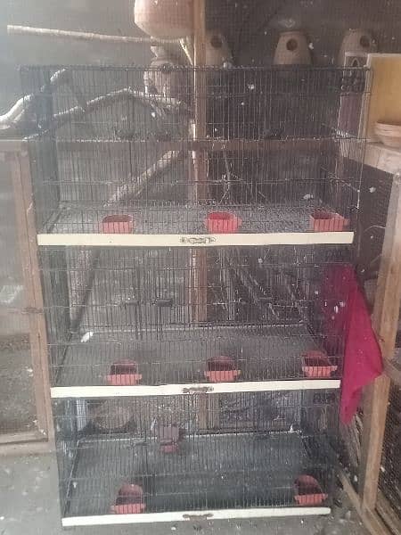 folding cages neat condition 2