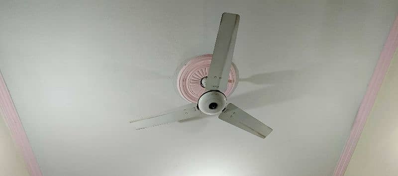 Royal ceiling fan for sale 4