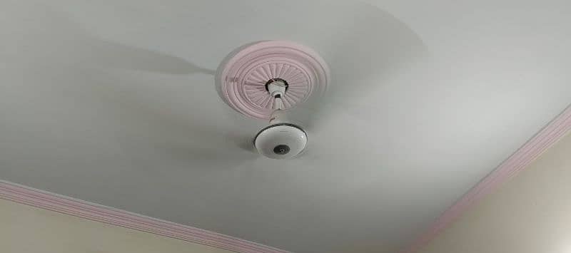 Royal ceiling fan for sale 5