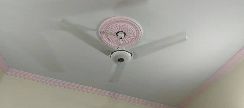 Royal ceiling fan for sale 6