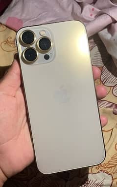 iphone 13 pro max(JV) golden 256 gb 0