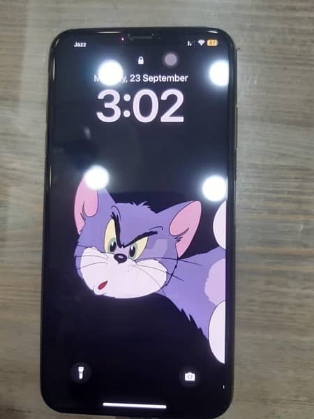 iphone xs max dual pta 0