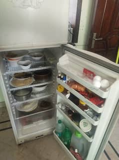 PEL Deep freezer And Fridge(Dawlence)