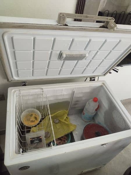 PEL Deep freezer And Fridge(Dawlence) 5