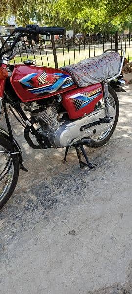 Honda 125 2024 7