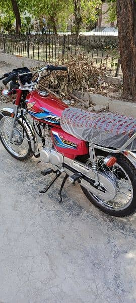 Honda 125 2024 10