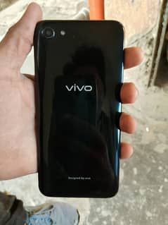 vivo