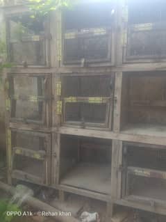 9 cage door wooden cage for sale