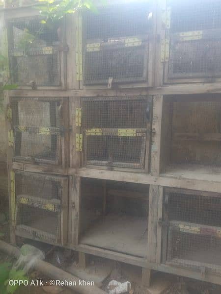 9 cage door wooden cage for sale 0