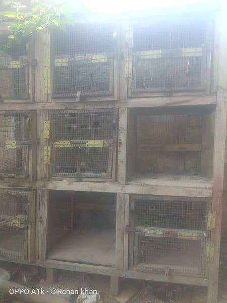 9 cage door wooden cage for sale 1