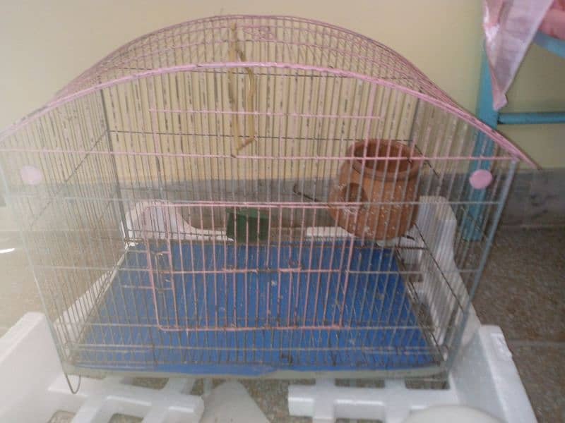 birds cage 1