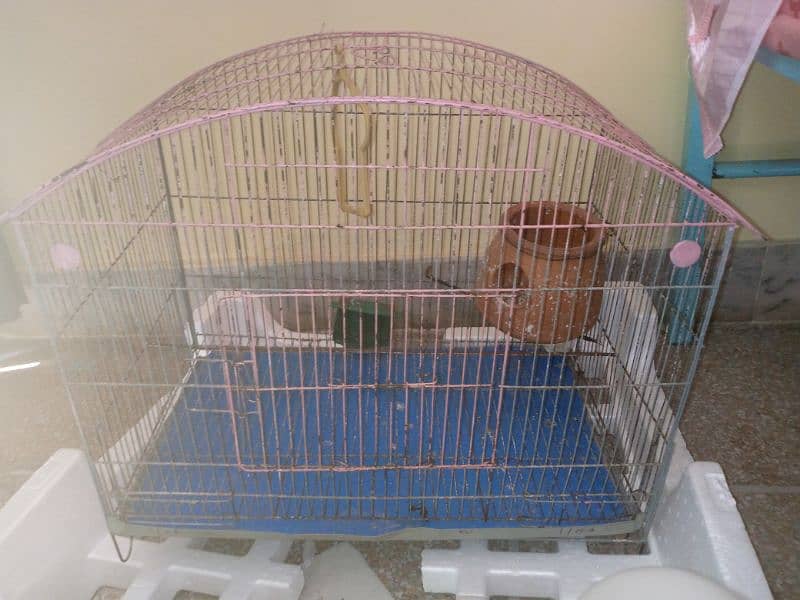 birds cage 2