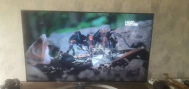 65 Inch Genuine LG 4k UHD Led TV for Sale in cheap price