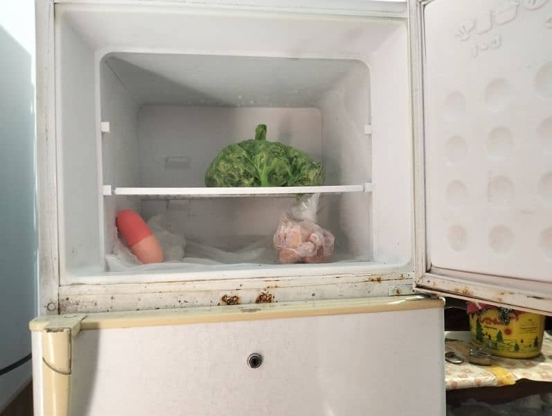 LG refrigerator 3