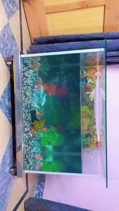 FISH AQUARIUM LARGE