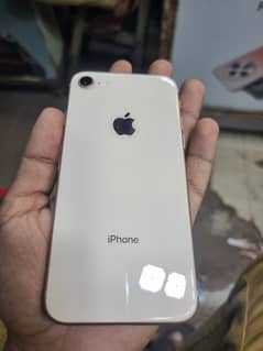 iphone 8 golden colour 256gb nonpta butt sim working bettery health87%