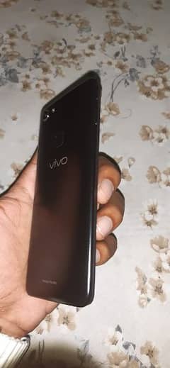 Vivo