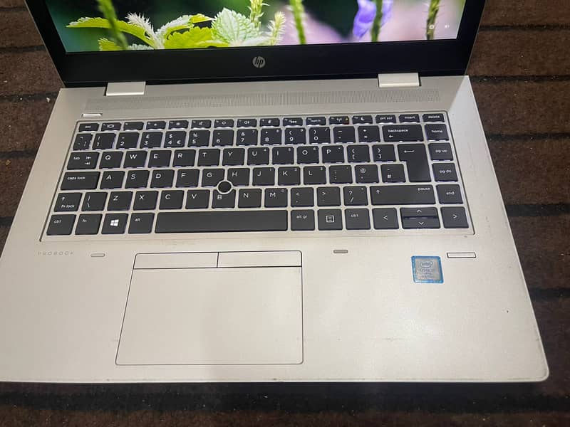 HP probook i7(8th generation) 16GB RAM 256GB SSD +500 HARD DRIVE 2