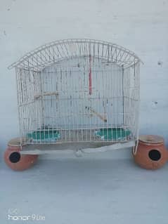 Bird Cages