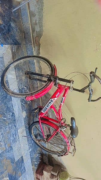 cycle for sale 4