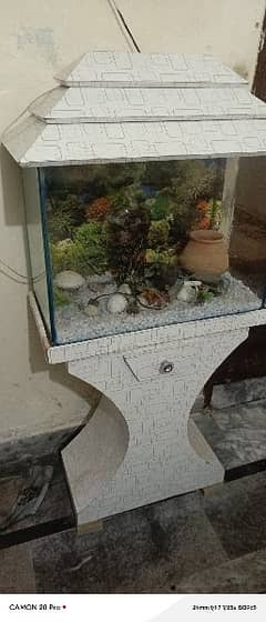 fish aquarium  argent sale 03426993781