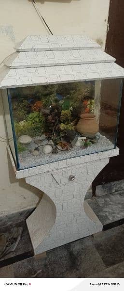 fish aquarium  argent sale 03426993781 1