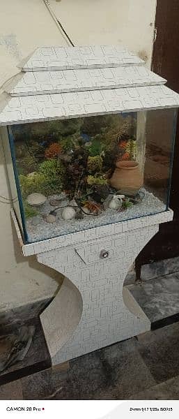 fish aquarium  argent sale 03426993781 2