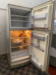 PEL Refrigerator