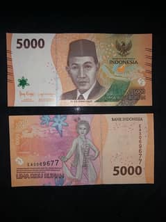 banknotes / currency notes